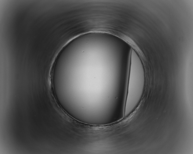 X0000088650908200705250939