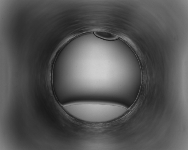 X0000088650910200705250939