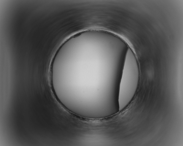 X0000088650911200705250939