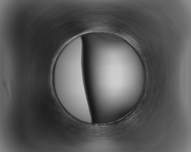X0000088650912200705250939