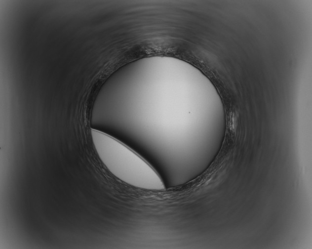 X0000088650915200705250939
