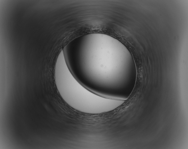 X0000088650916200705250939