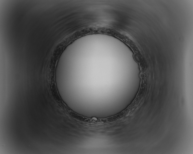 X0000088650919200705250939
