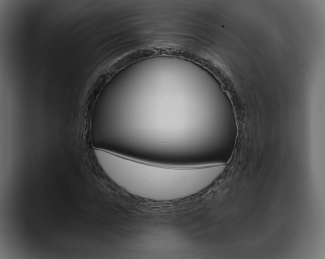 X0000088650920200705250939