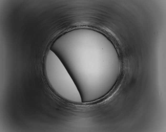 X0000088650921200705250939
