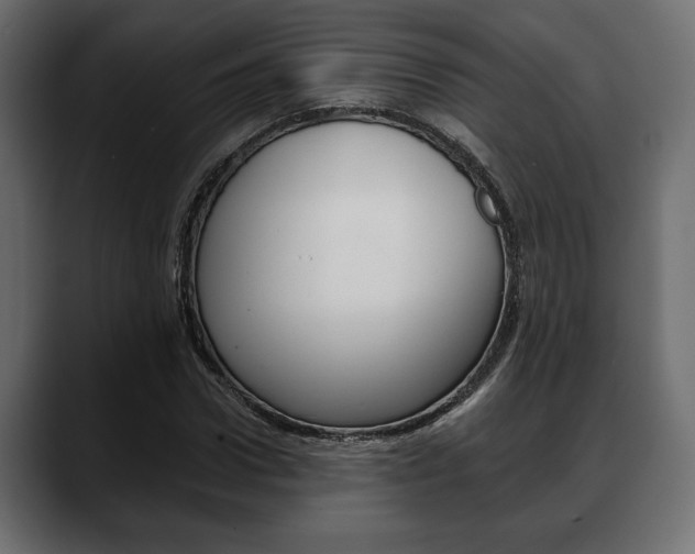 X0000088650922200705250939