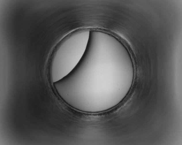 X0000088650925200705250939