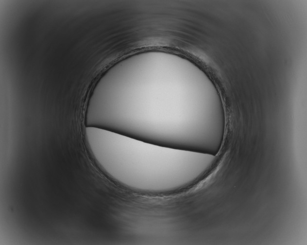 X0000088650929200705250939