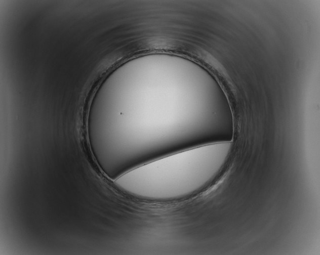 X0000088650930200705250939