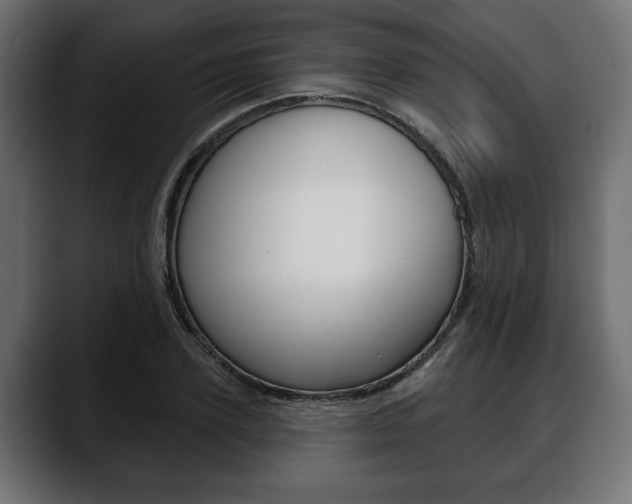 X0000088650931200705250939