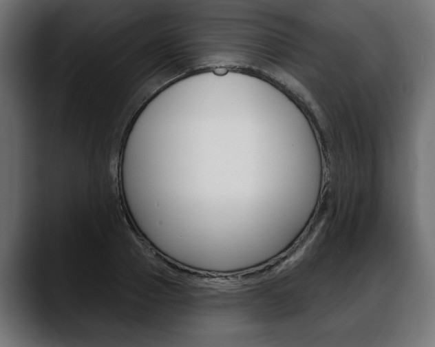 X0000088650937200705250939