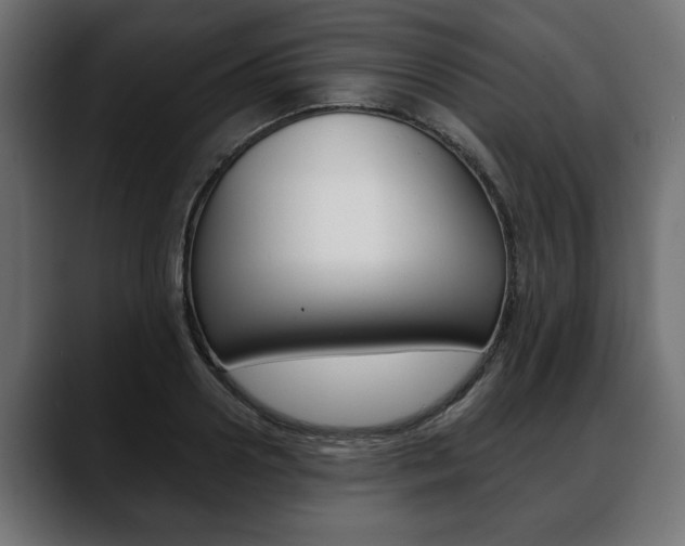 X0000088650938200705250939