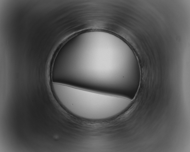 X0000088650939200705250939