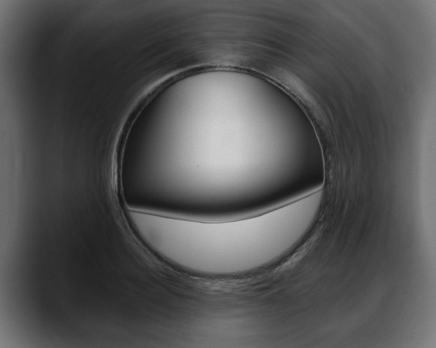 X0000088650940200705250939