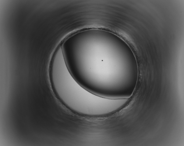 X0000088650942200705250939
