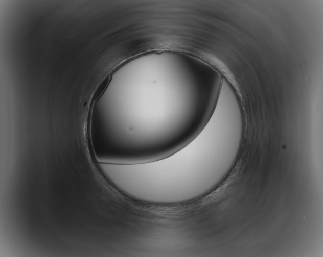 X0000088650946200705250939
