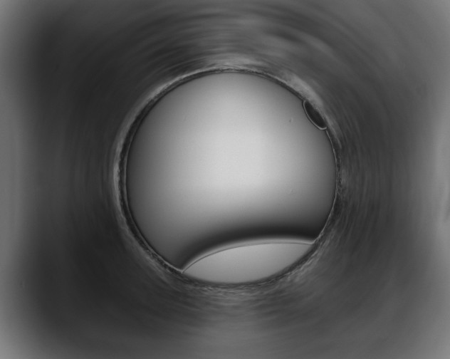 X0000088650947200705250939