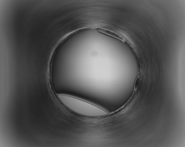 X0000088650948200705250939