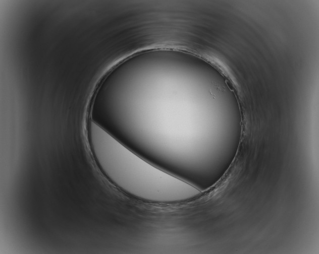 X0000088650952200705250939