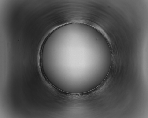 X0000088650955200705250939