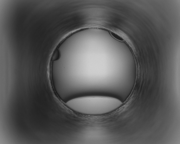 X0000088650958200705250939