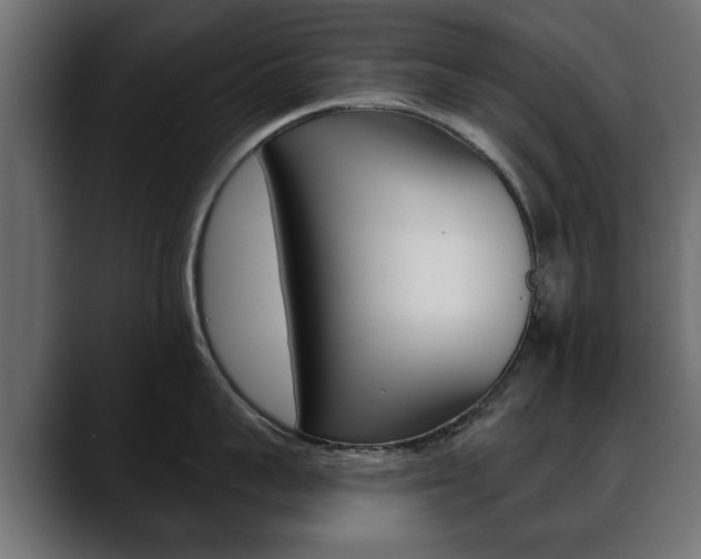 X0000088650959200705250939