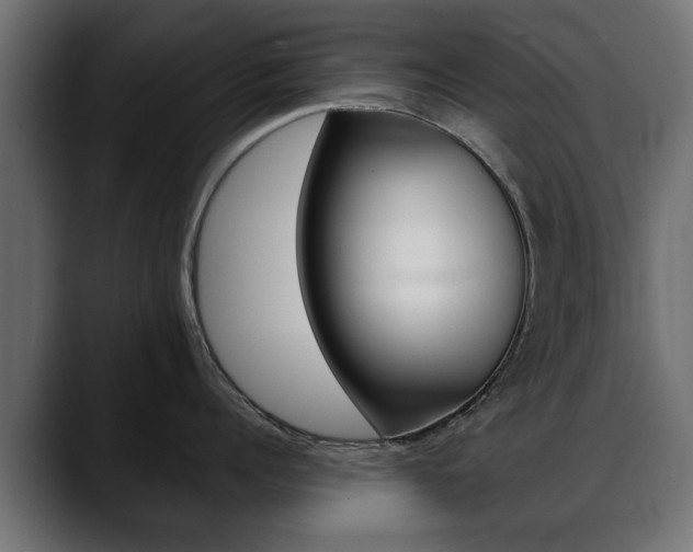 X0000088650960200705250939