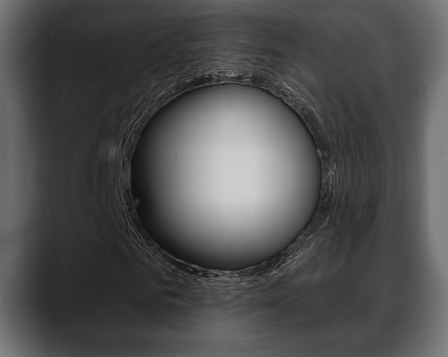 X0000088650961200705250938