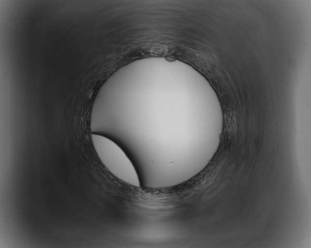 X0000088650962200705250938