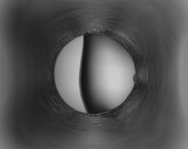 X0000088650964200705250938