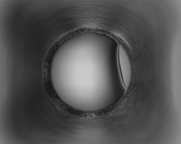 X0000088650968200705250938