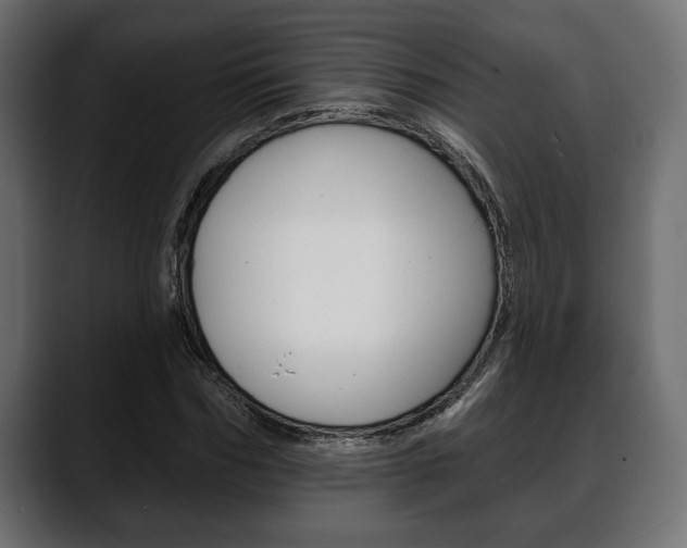 X0000088650970200705250938