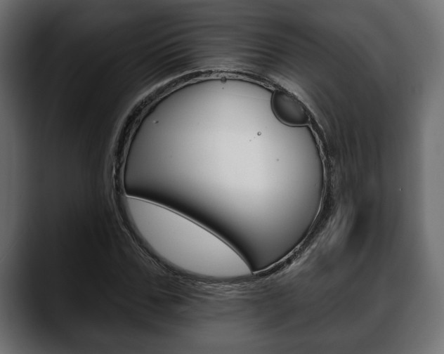 X0000088650971200705250938