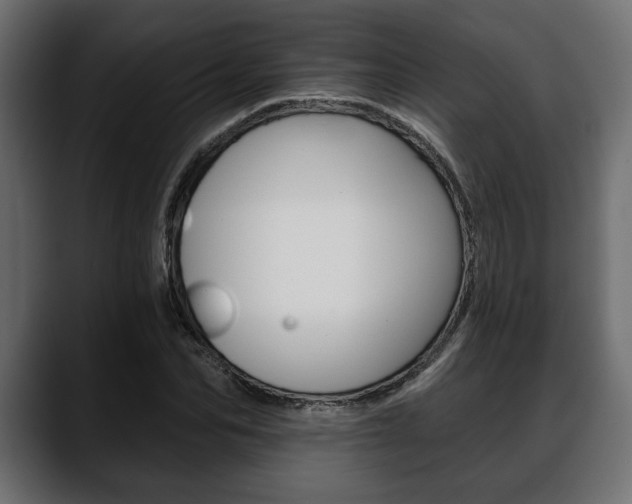X0000088650974200705250938