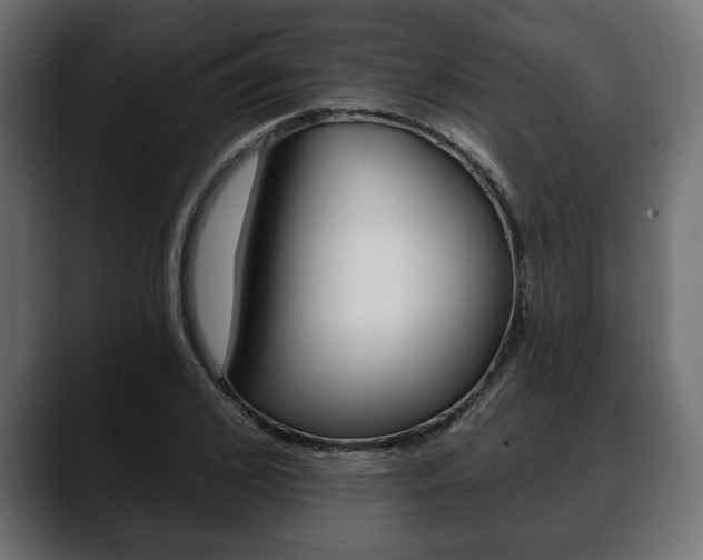 X0000088650976200705250938