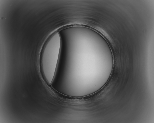 X0000088650980200705250938