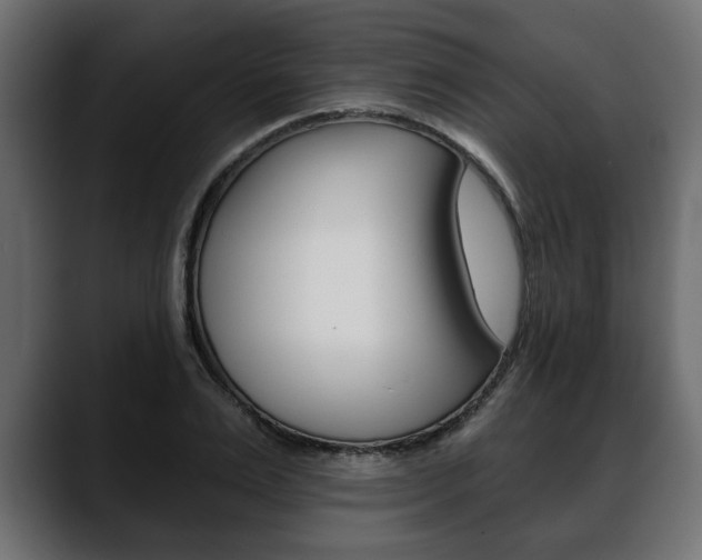 X0000088650983200705250938