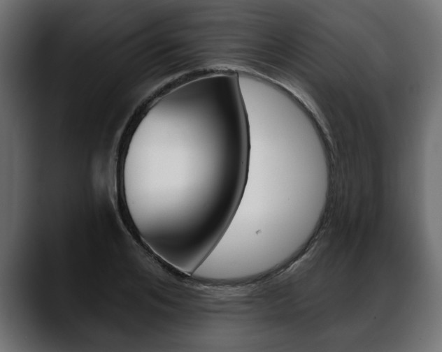 X0000088650984200705250938