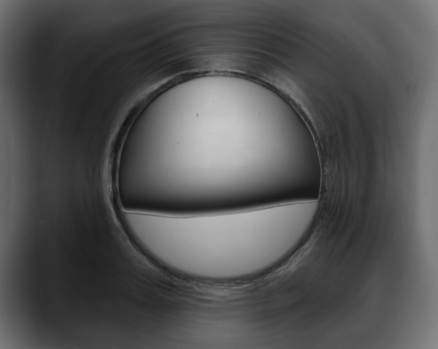 X0000088650987200705250938