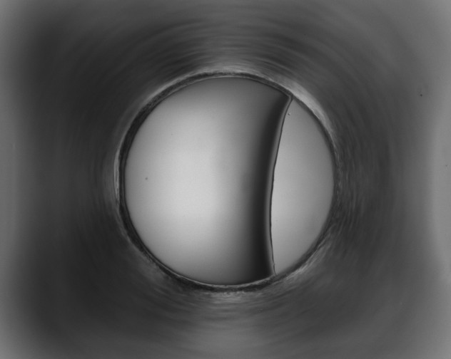 X0000088650988200705250938