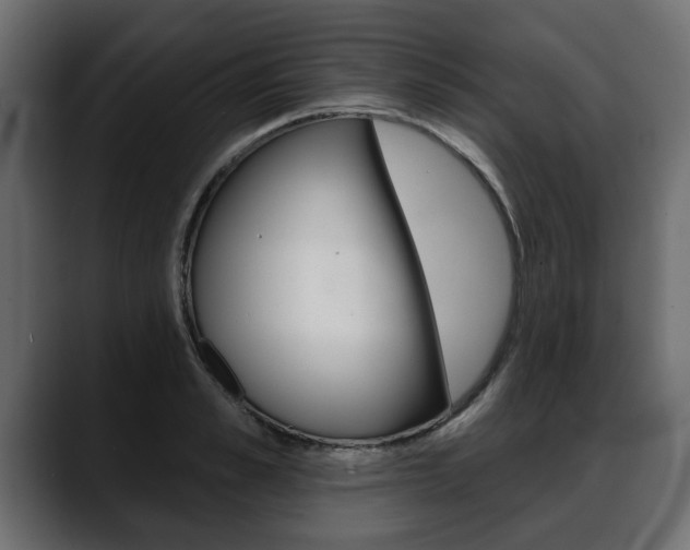 X0000088650989200705250938