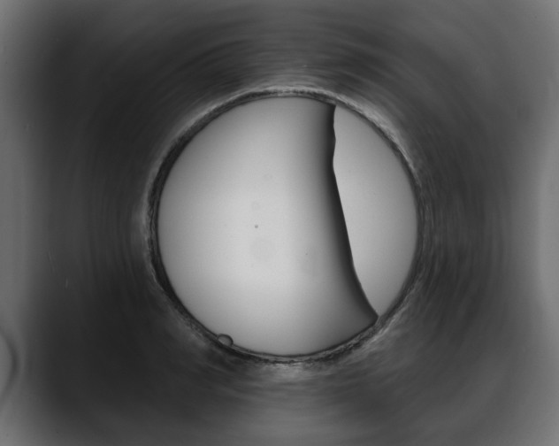 X0000088650990200705250938