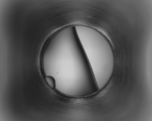 X0000088650991200705250938