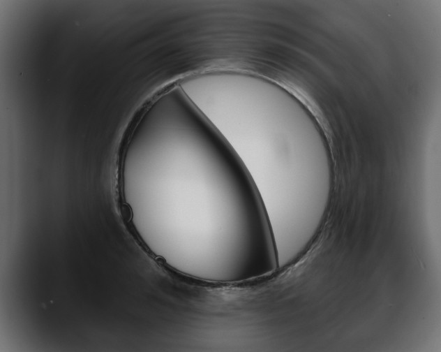 X0000088650992200705250938