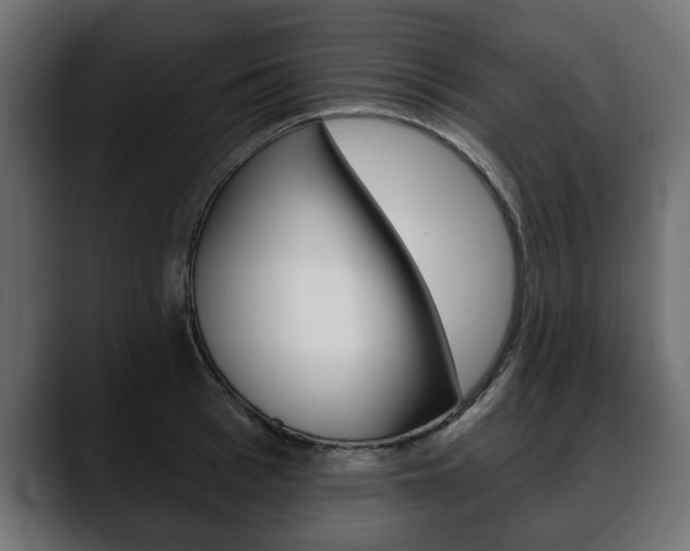 X0000088650993200705250938