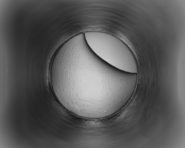 X0000088650994200705250938