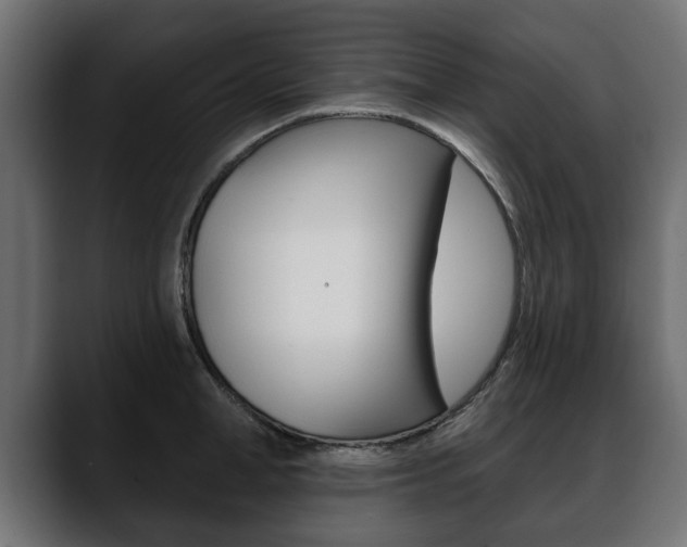 X0000088650998200705250938