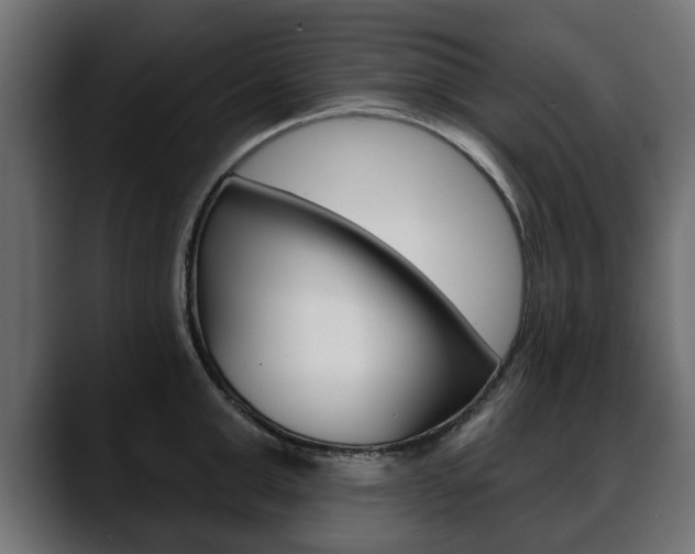 X0000088650999200705250938