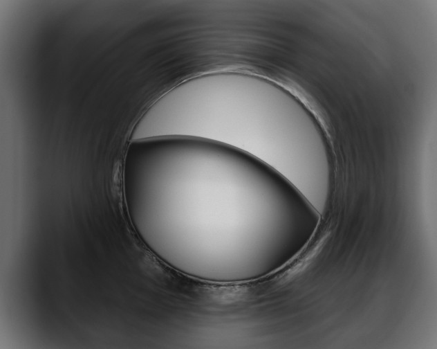 X0000088651001200705250938