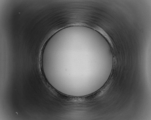 X0000088651002200705250938